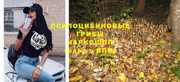 гидра Алексин