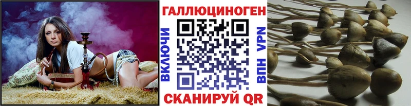 купить   hydra маркетплейс  Галлюциногенные грибы мухоморы  Артём 