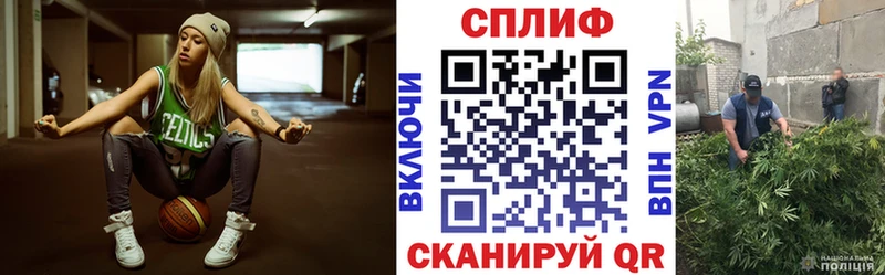 ОМГ ОМГ tor  Артём  Бошки марихуана THC 21% 